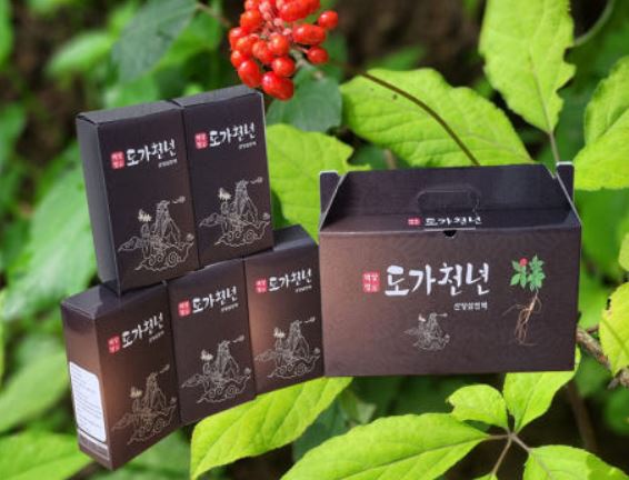 도가천년