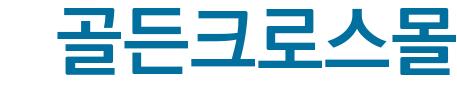 골든크로스몰()